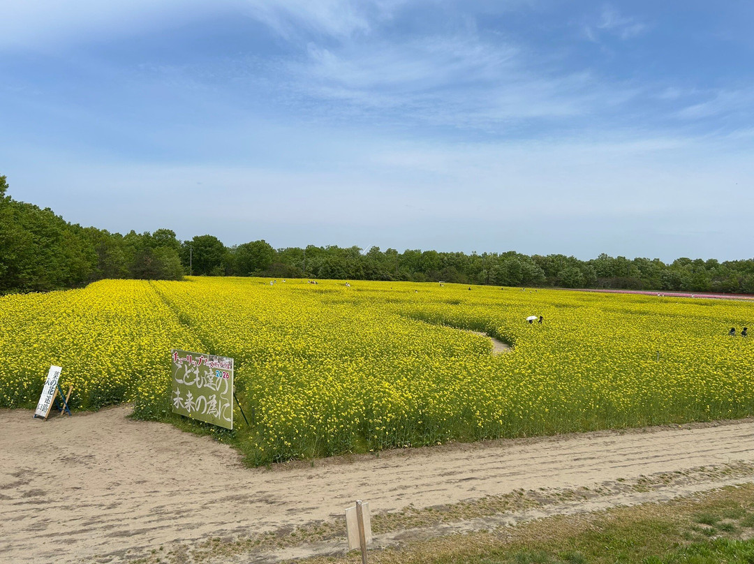 Tainai Flower Park-胎内市必去景点