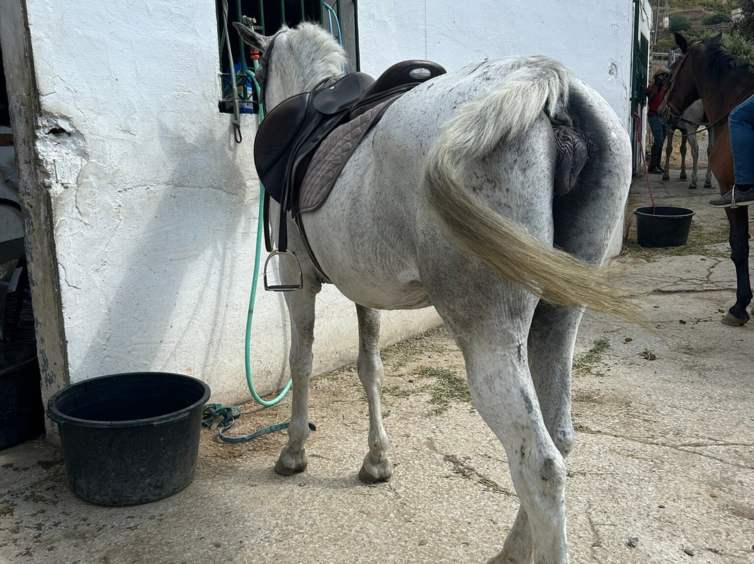 Andale Riding Nerja-内尔哈必去景点