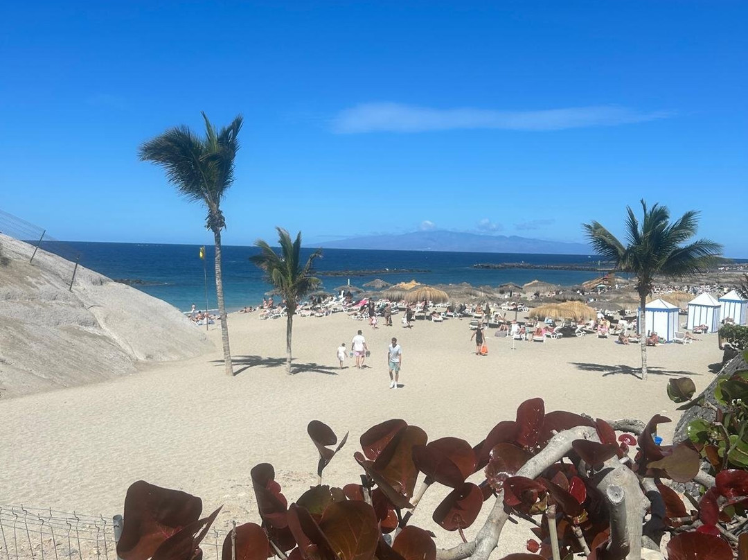 Playa del Duque-奥德杰海岸必去景点