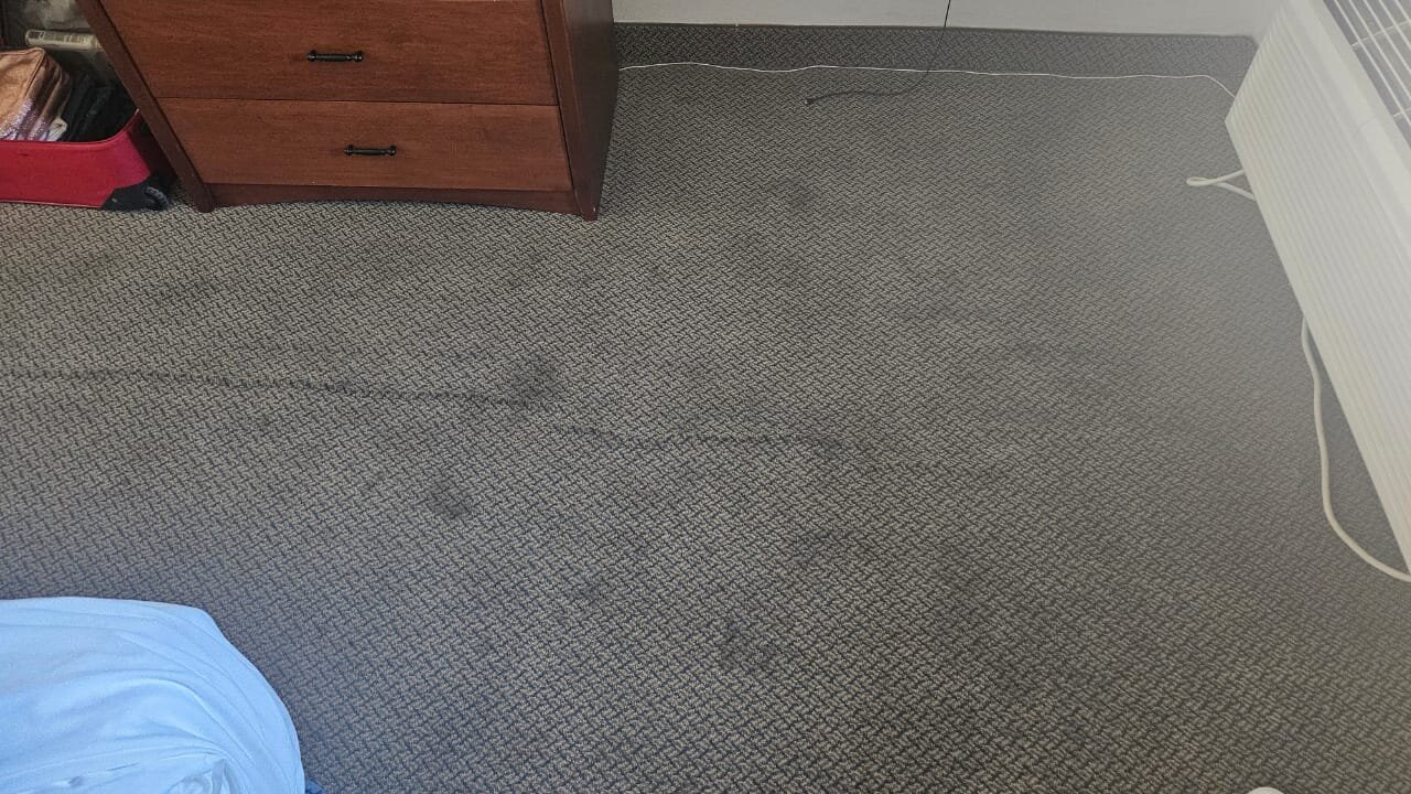 埃尔帕索西巴特利特拉昆塔温德姆套房酒店-客卧