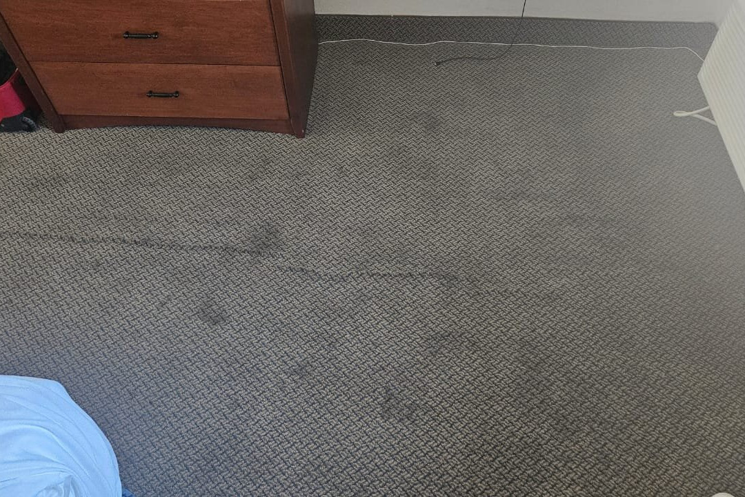 埃尔帕索西巴特利特拉昆塔温德姆套房酒店主图