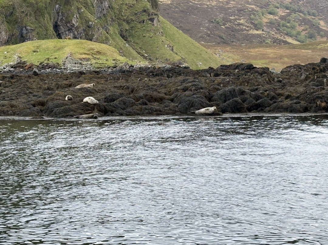 Kylesku Boat Tours-Kylesku必去景点