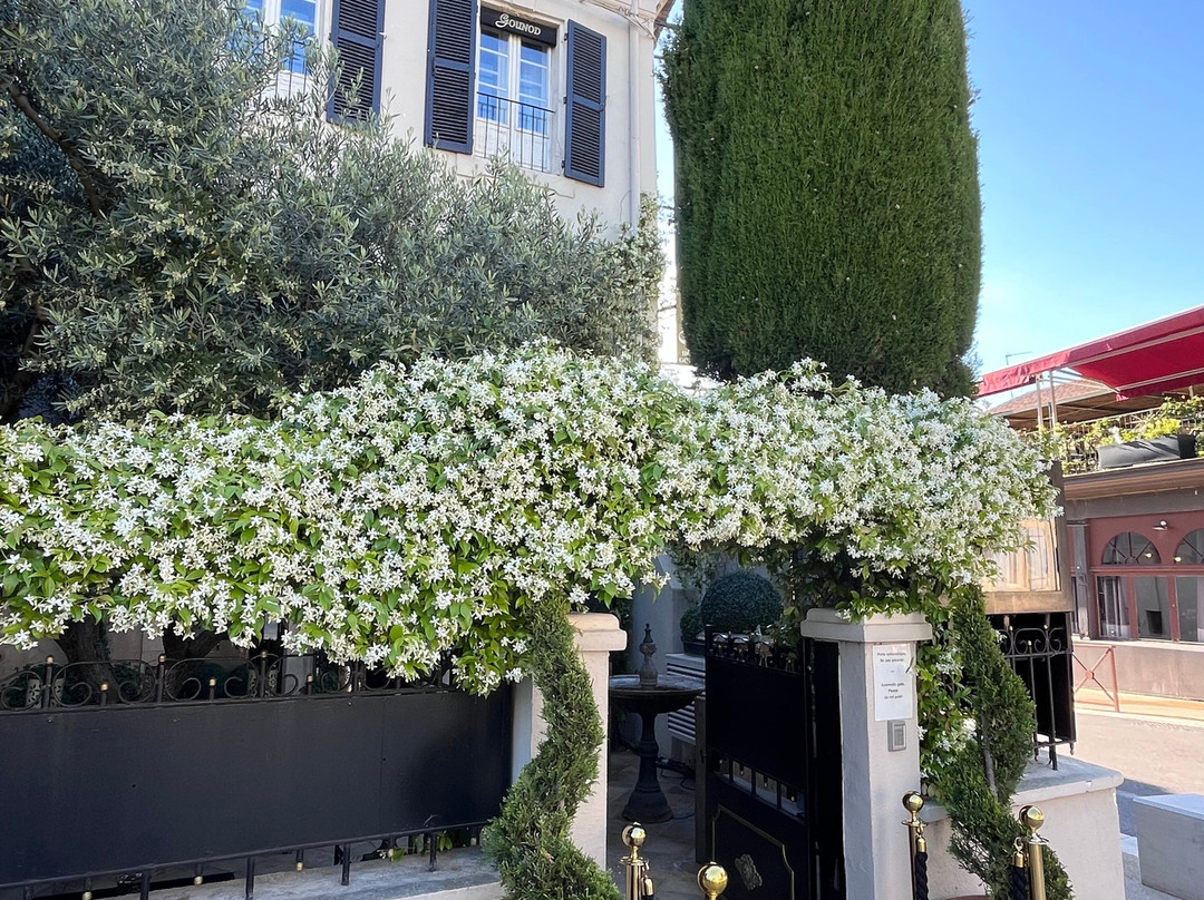 Hôtel Gounod主图