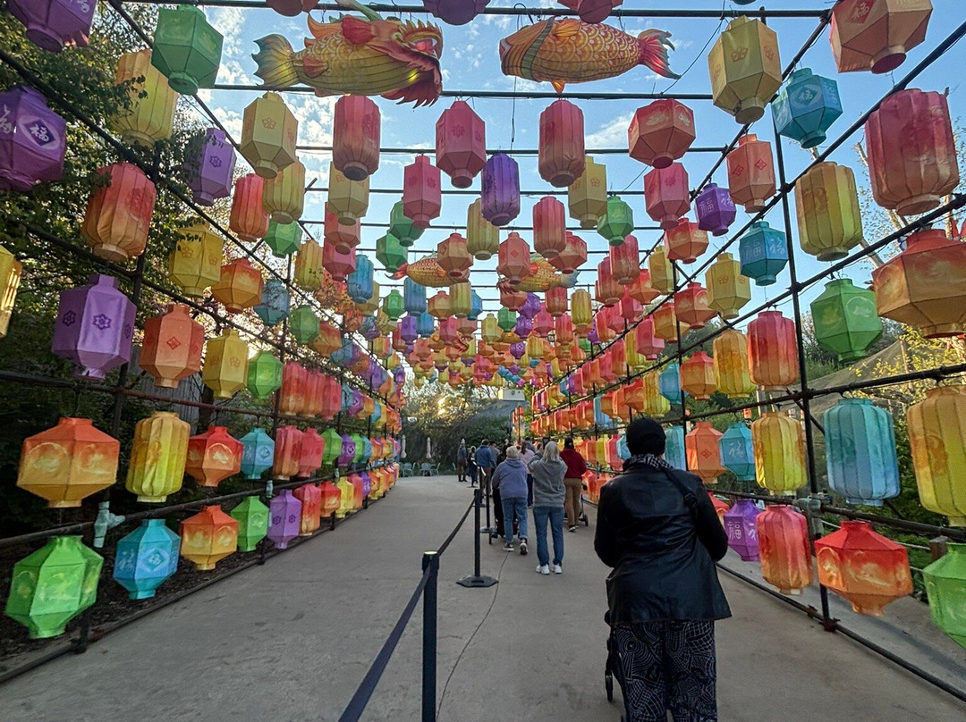 John Ball Zoo-大急流市必去景点