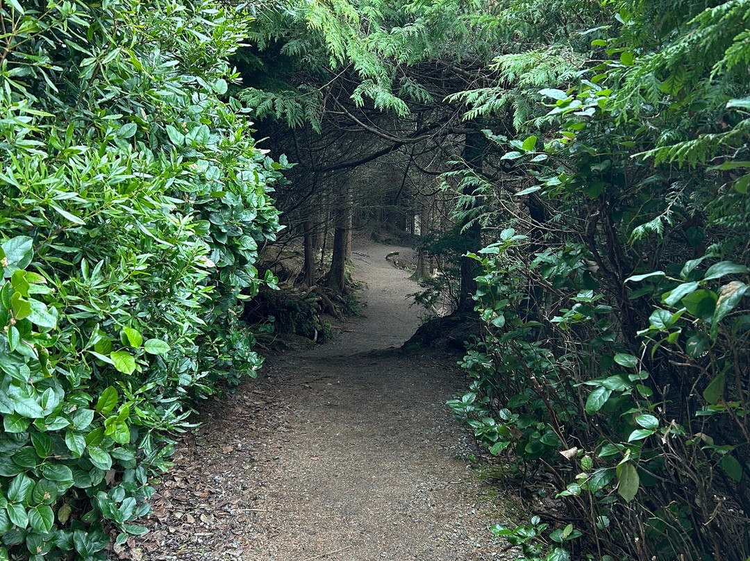 Wild Pacific Trail-尤克卢利特必去景点