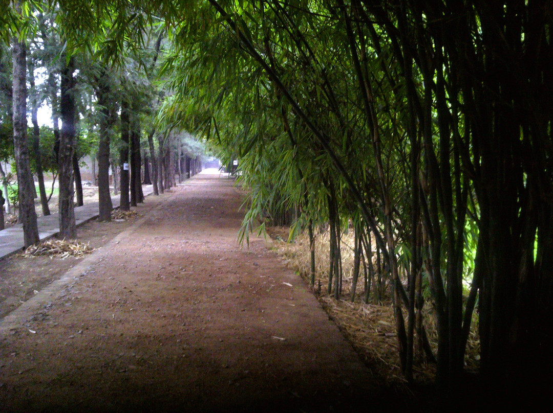 Oshodham, Osho Dhyan Mandir-新德里必去景点