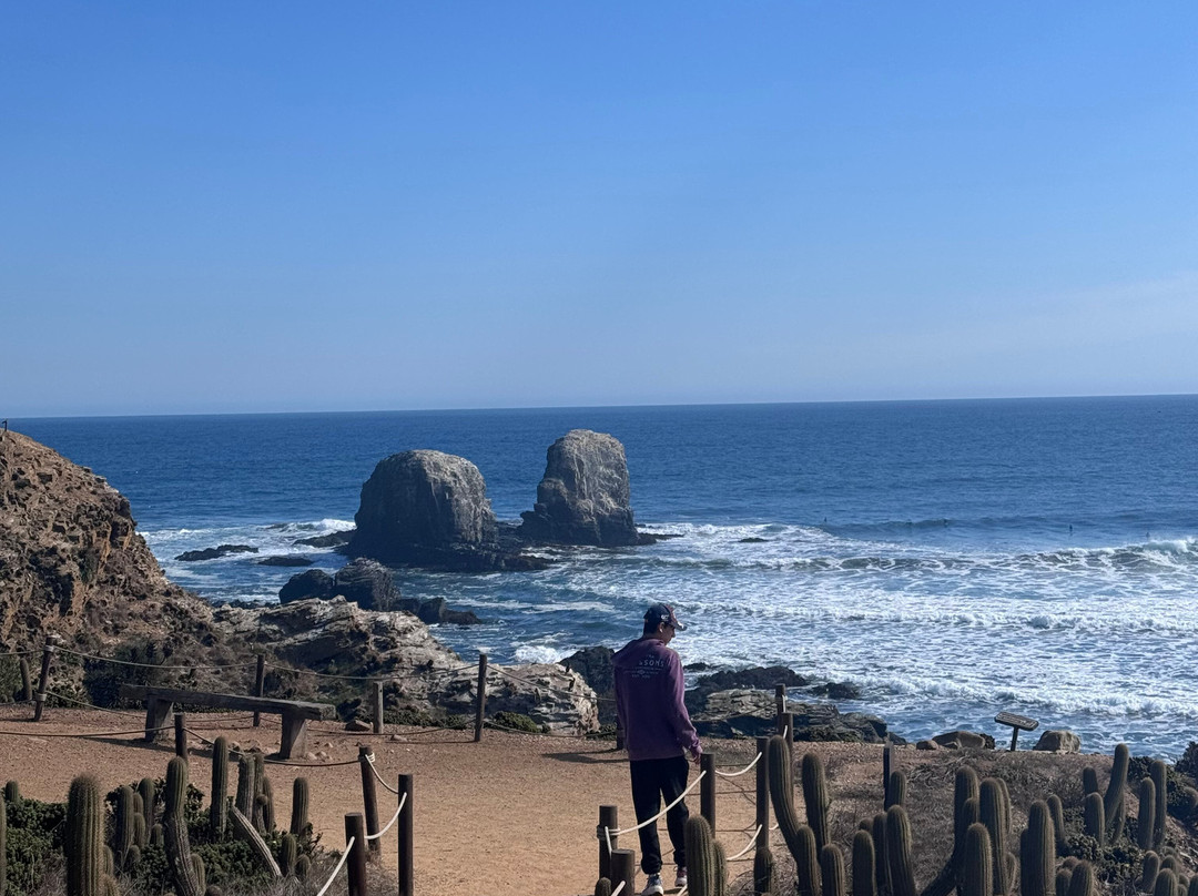 Punta De Lobos-皮钦勒姆必去景点