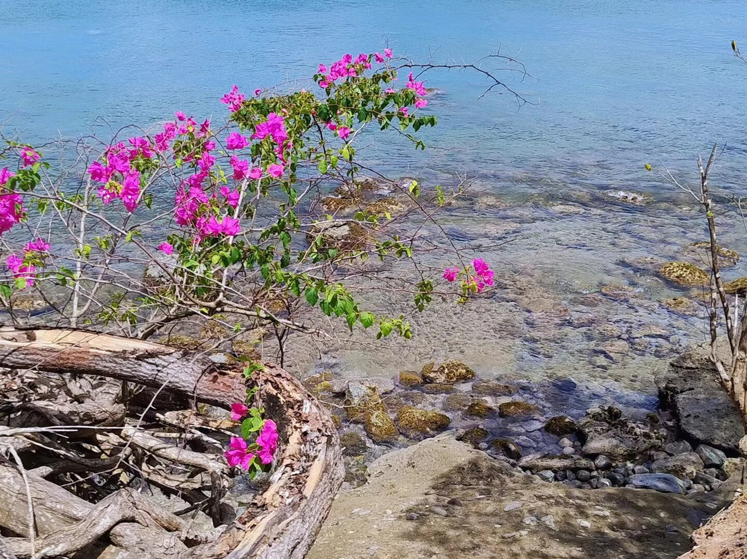 Pointe Allegre-Sainte Rose必去景点