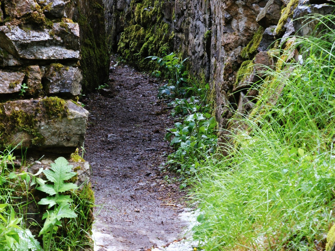 Historial franco-allemand du Hartmannswillerkopf-Wattwiller必去景点