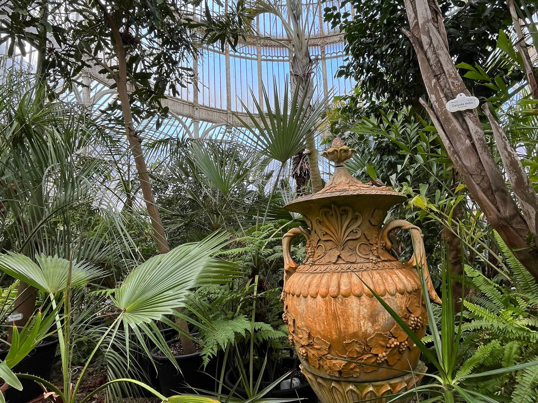 The Tropical Ravine House-贝尔法斯特必去景点