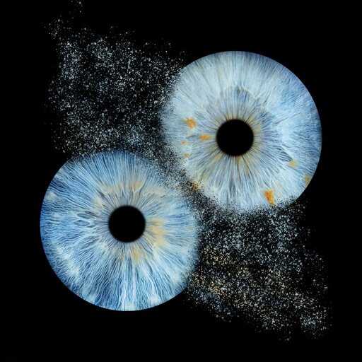 Iris Galerie Groningen