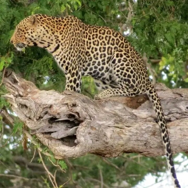 LAKE NAKURU NATIONAL PARK-纳库鲁湖国家公园必去景点