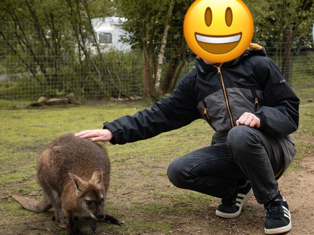 Peak Wildlife Park-Winkhill必去景点