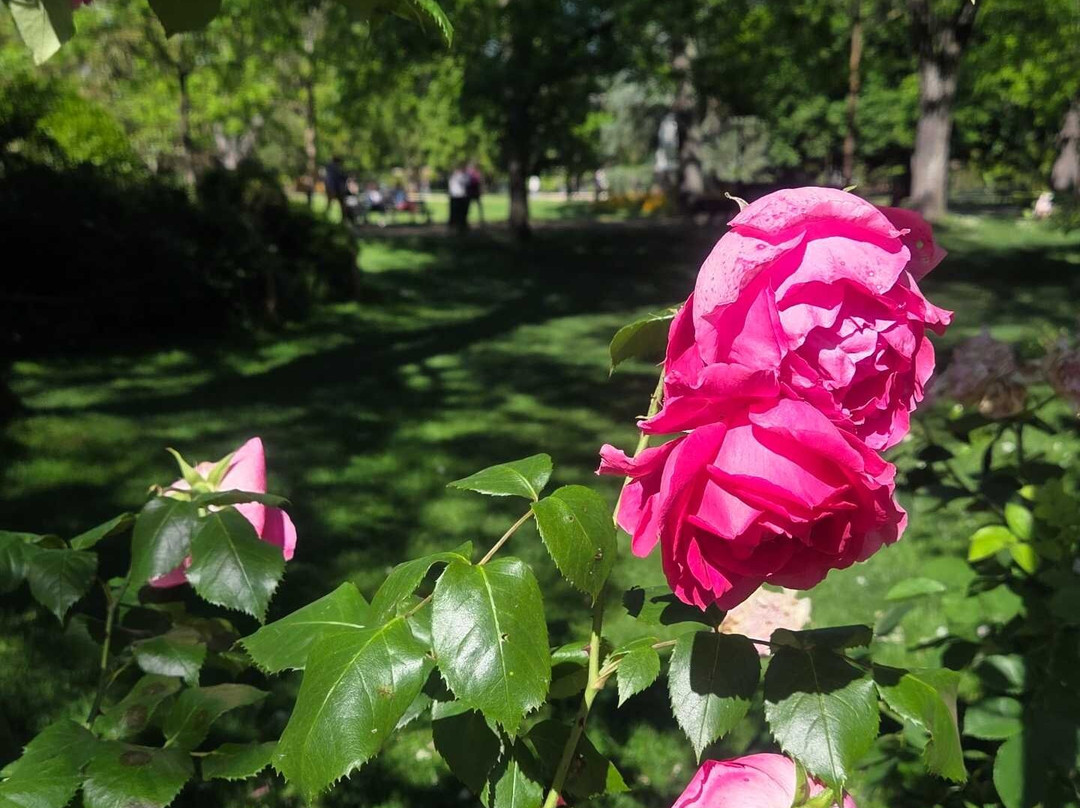 Jardin du Grand Rond-图卢兹必去景点