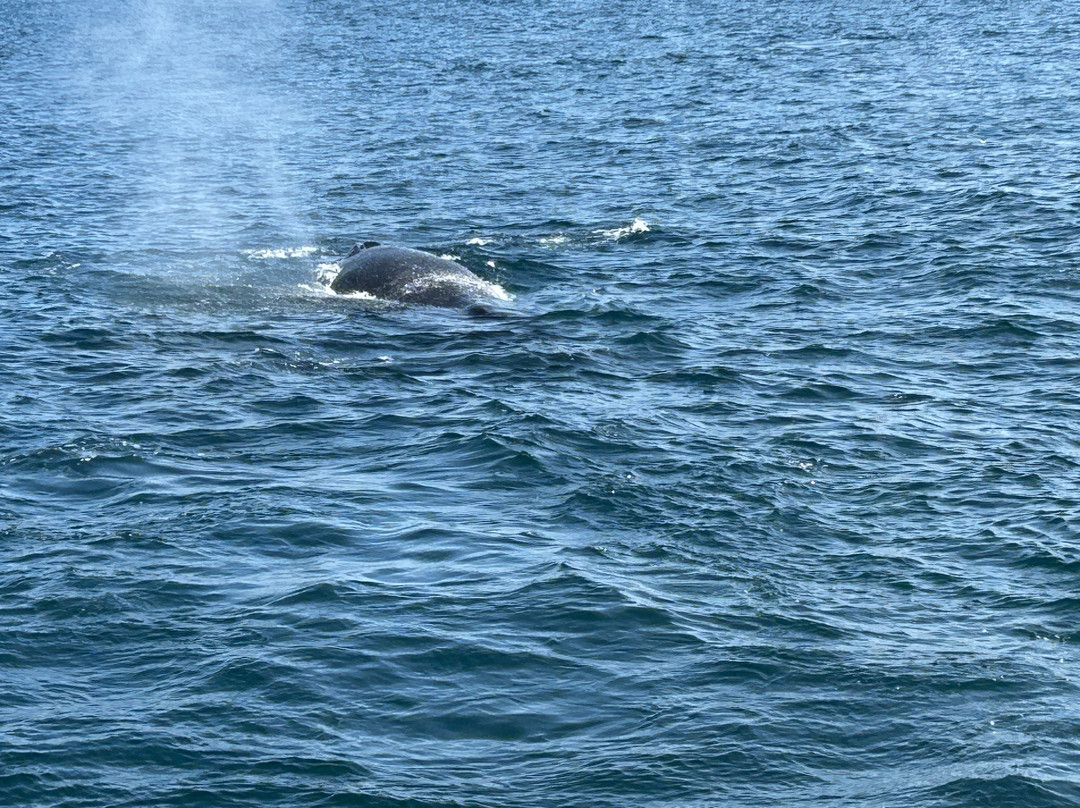太平洋水族馆-长滩必去景点