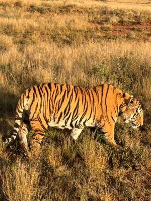 Kishindo Conservation Reserve-Philippolis必去景点