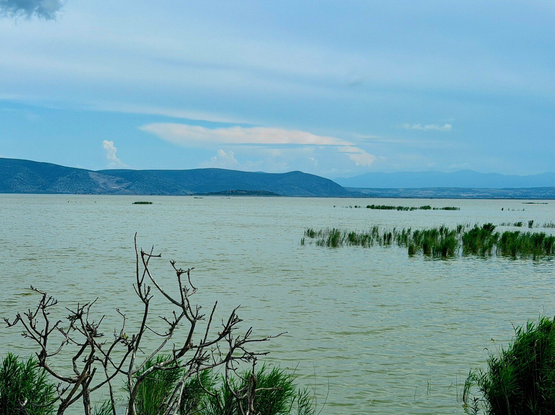 Lake Karla-沃洛斯必去景点