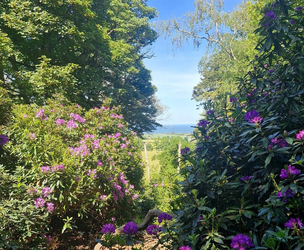 Sheringham Park-Sheringham必去景点