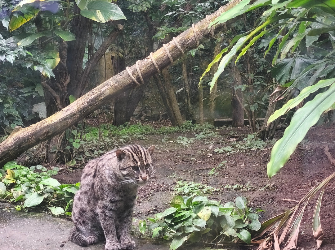 Zoo Leipzig-莱比锡必去景点