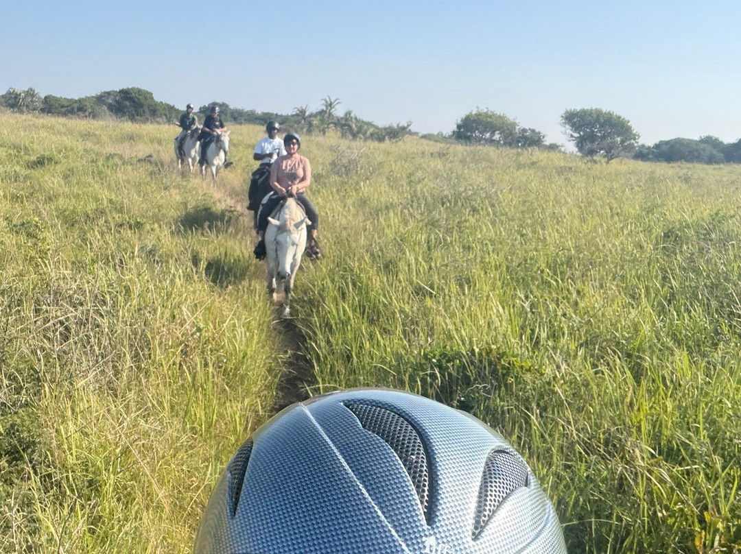 Bhangazi Horse Safaris-圣露西亚必去景点
