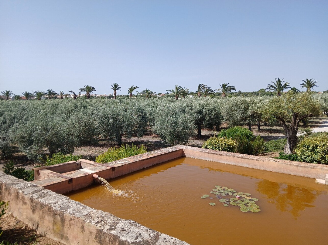 Monterosa Olive Oil Farm-Moncarapacho必去景点