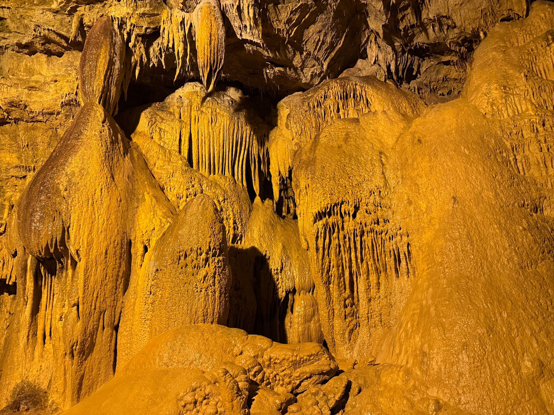 Lost World Caverns-Lewisburg必去景点