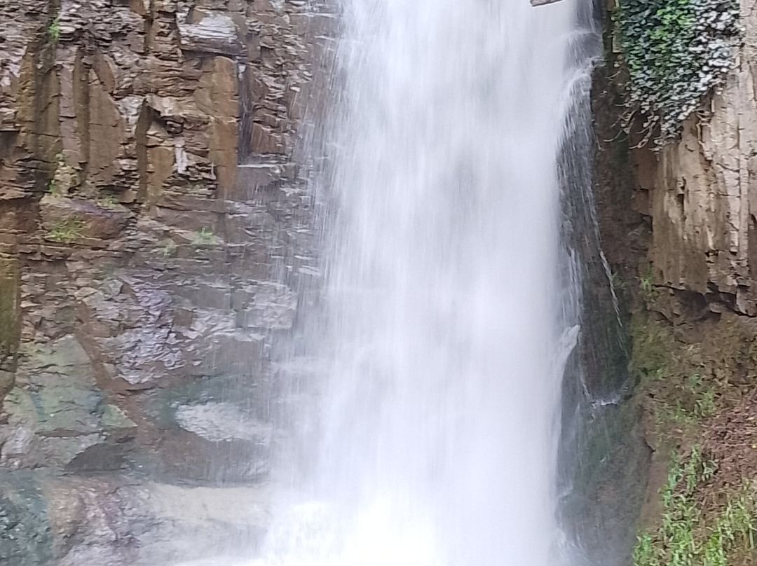 Legvachtahvi Gorge-第比利斯必去景点