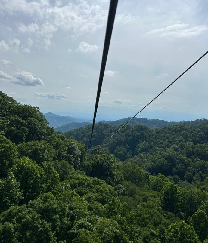 Navitat Canopy Adventures-Barnardsville必去景点