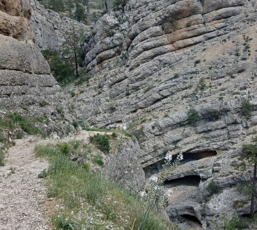 Ruta Del Barranco De La Hoz-Calomarde必去景点