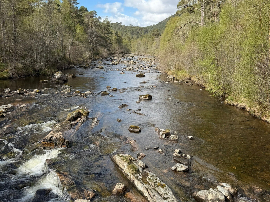 Glen Affric National Nature Reserve-Cannich必去景点