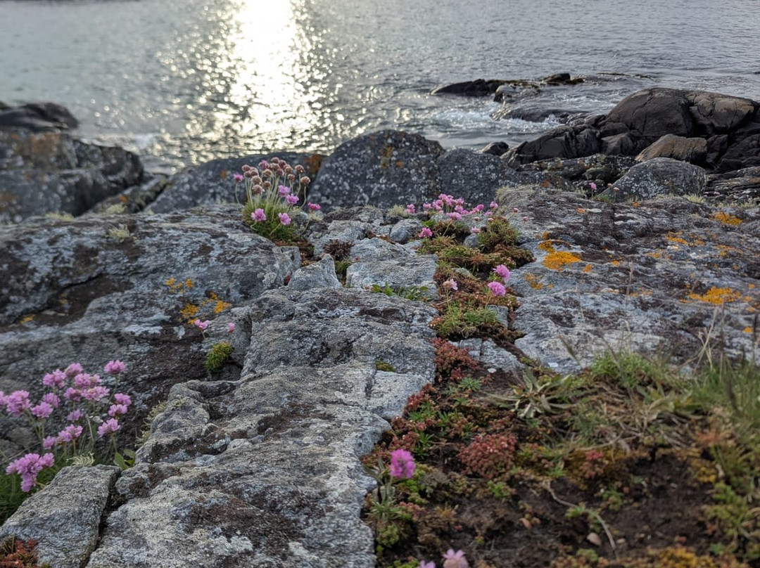 Arisaig Sea Kayak Centre-Arisaig必去景点