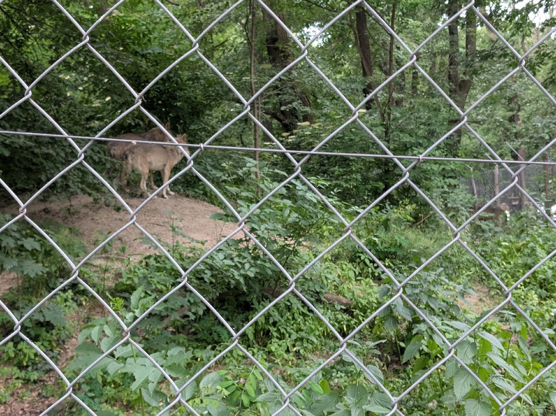 ZOO Bratislava-布拉迪斯拉发必去景点