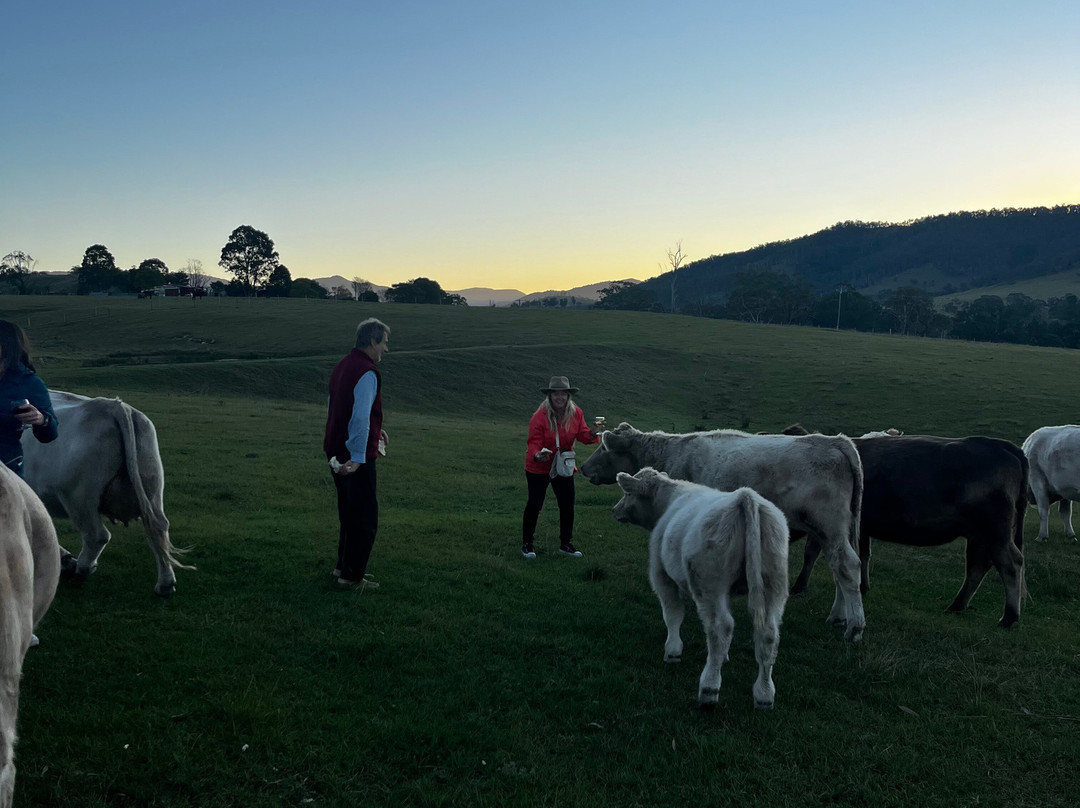 Gloucester River Wines-Gloucester必去景点
