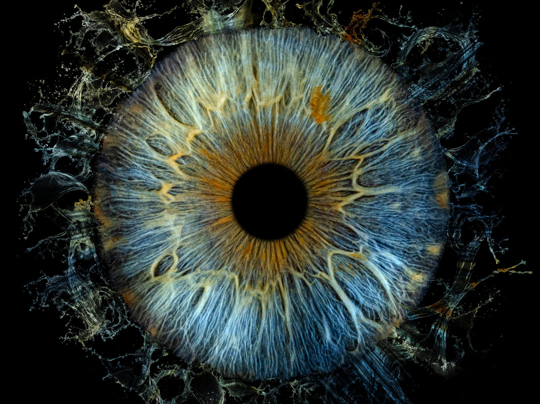Iris Galerie Gent