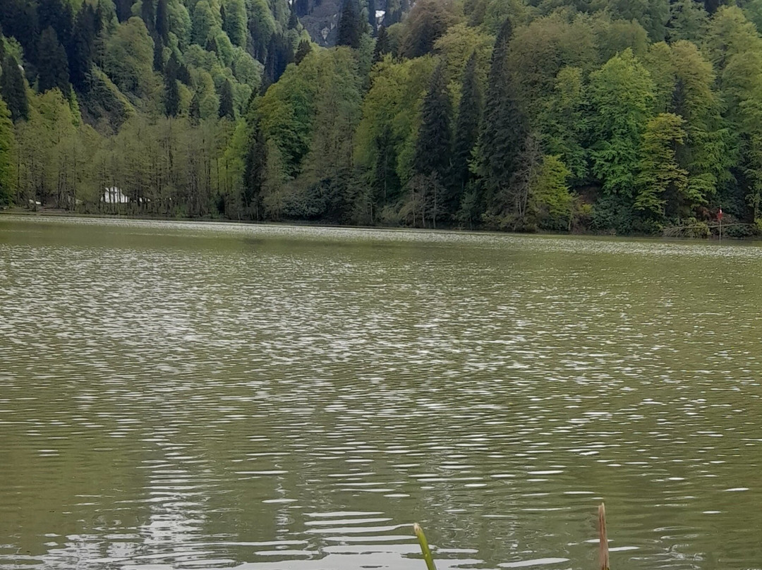 Borçka Karagöl Tabiat Parkı-Artvin必去景点