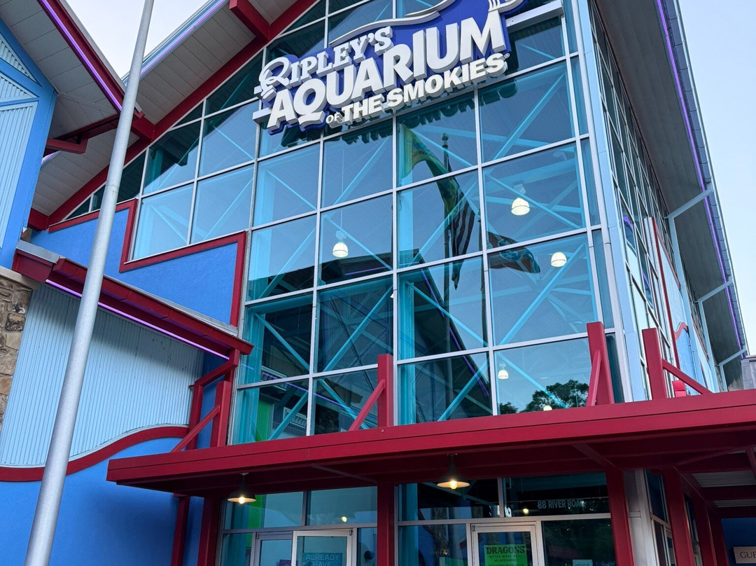 莱利大烟山水族馆-盖林柏格必去景点