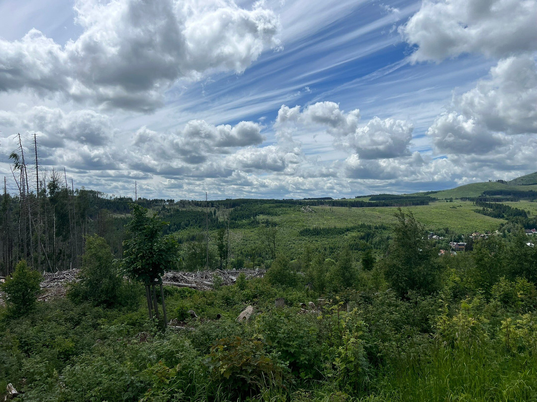 Wurmbergseilbahn Braunlage-布劳恩拉格必去景点