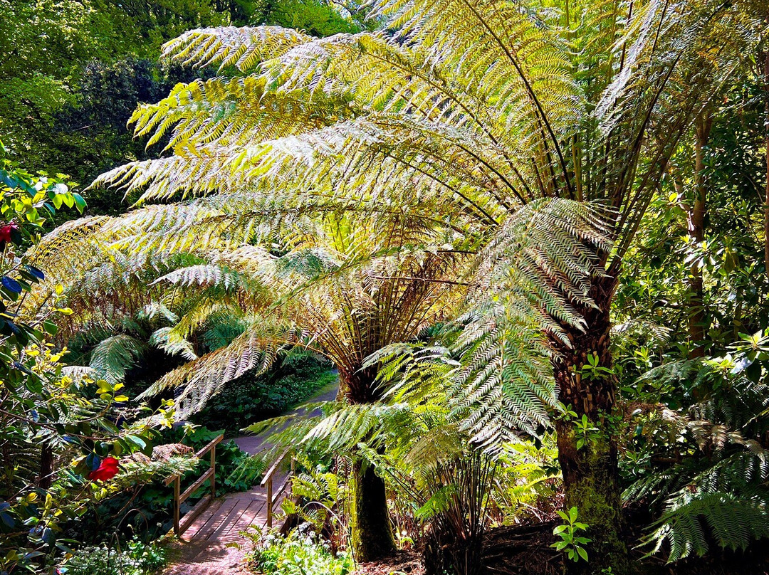 Coleton Fishacre-Kingswear必去景点