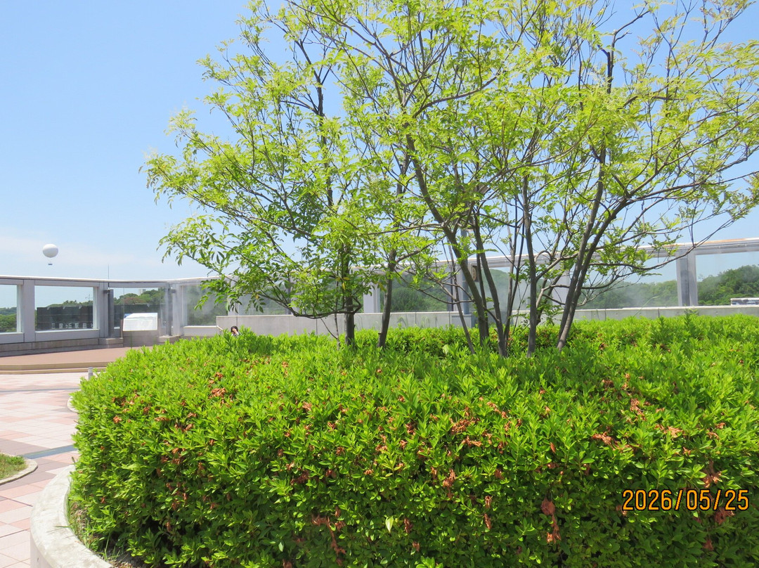 Mikunin Hiroba-坂井市必去景点