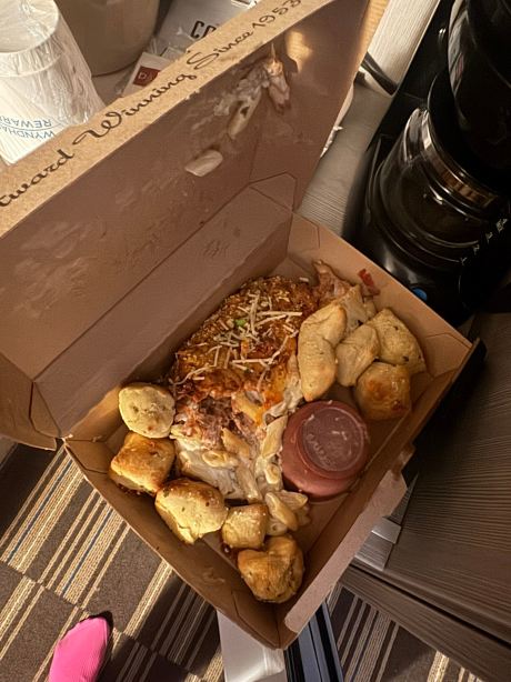 罗切斯特北梅奥诊所麦客达温德姆酒店-旅行者