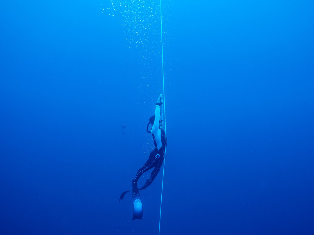 Ocean Bx Freediving-Mati必去景点