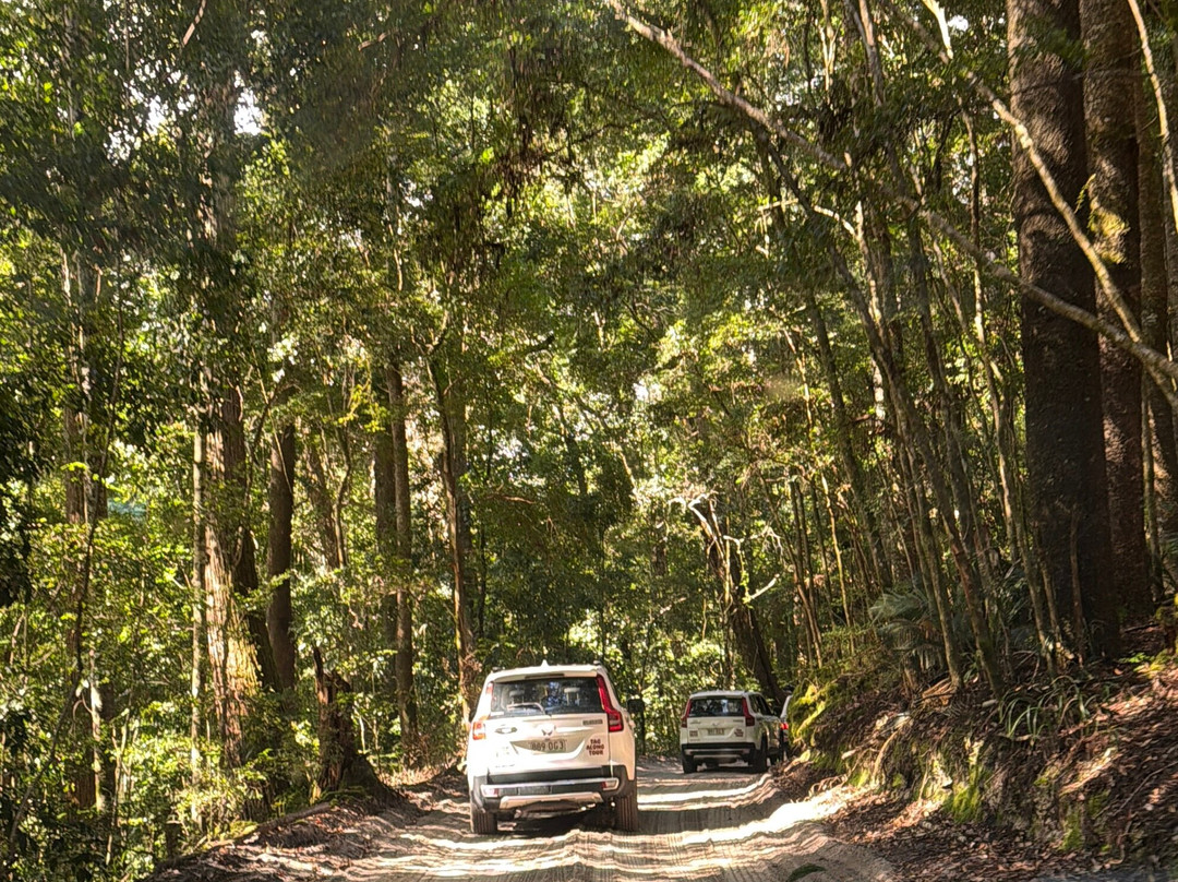 Drop Bear K'gari Fraser Island Adventures-弗雷泽岛必去景点