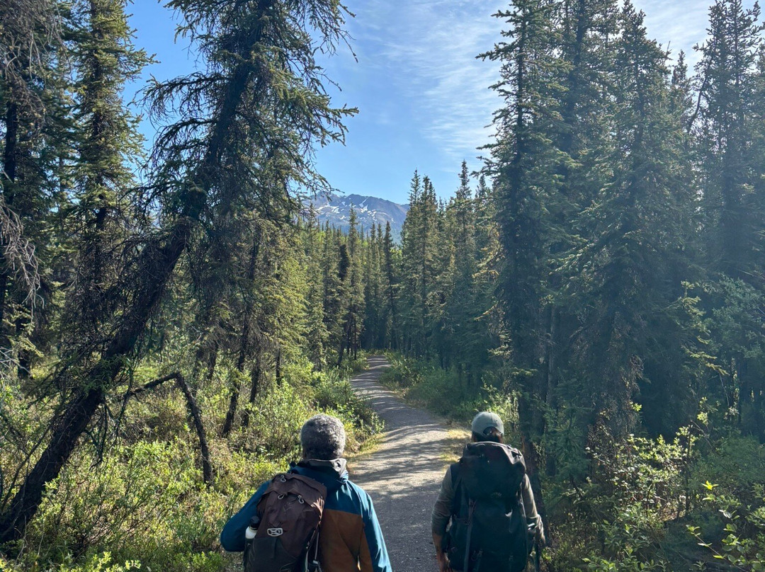 Denali Backcountry Guides-德纳利国家公园和自然保护区必去景点