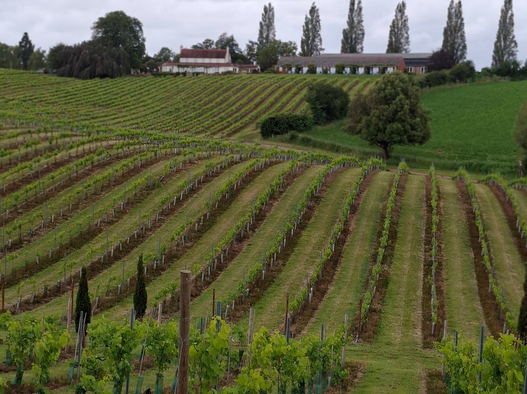 Three Choirs Vineyard-Newent必去景点