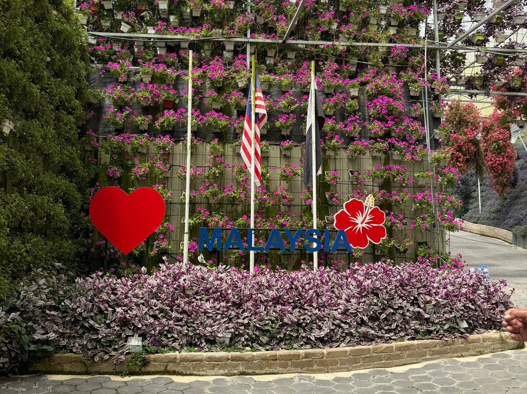 Cameron Highlands Flora Park-碧兰璋必去景点