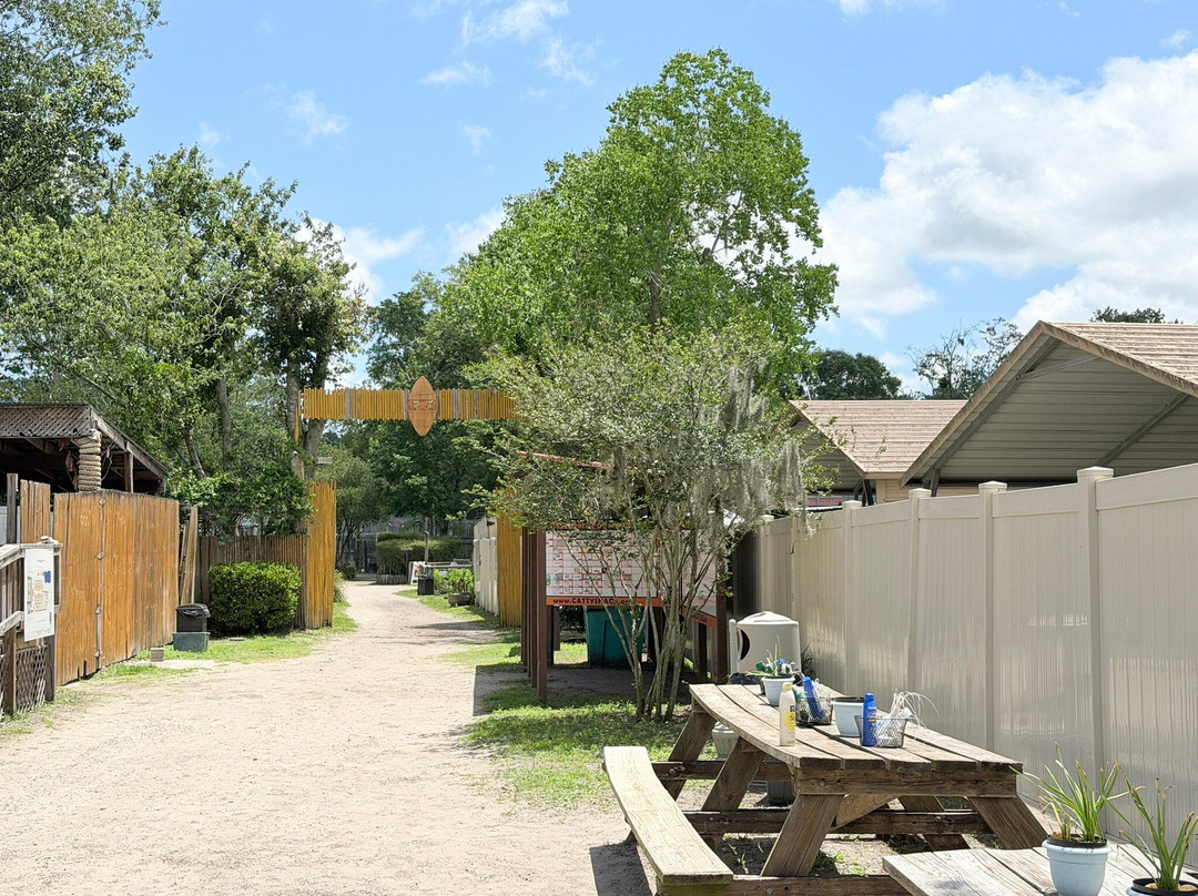Catty Shack Ranch Wildlife Sanctuary-杰克逊维尔必去景点