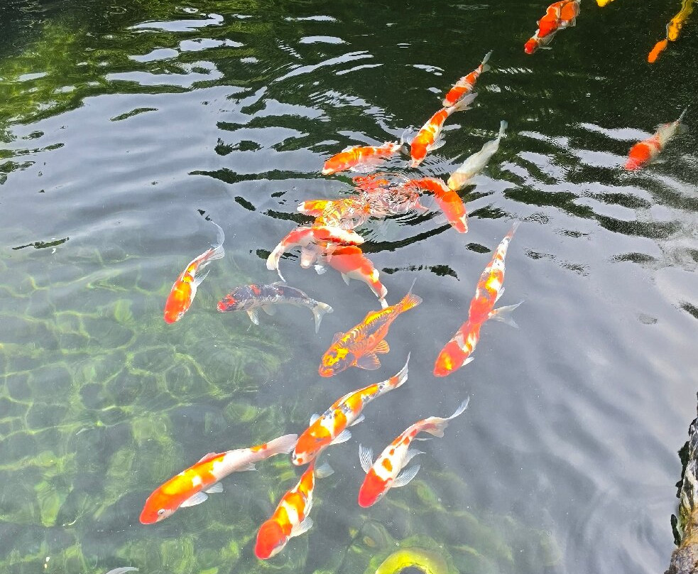 森纳顺化酒店主图