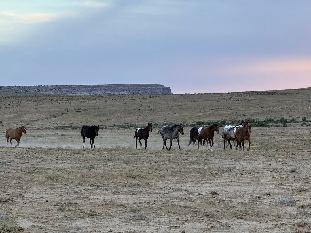 Navajo Tours USA-Nageezi必去景点