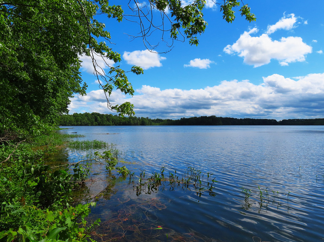 Beaver Lake Nature Center-Baldwinsville必去景点