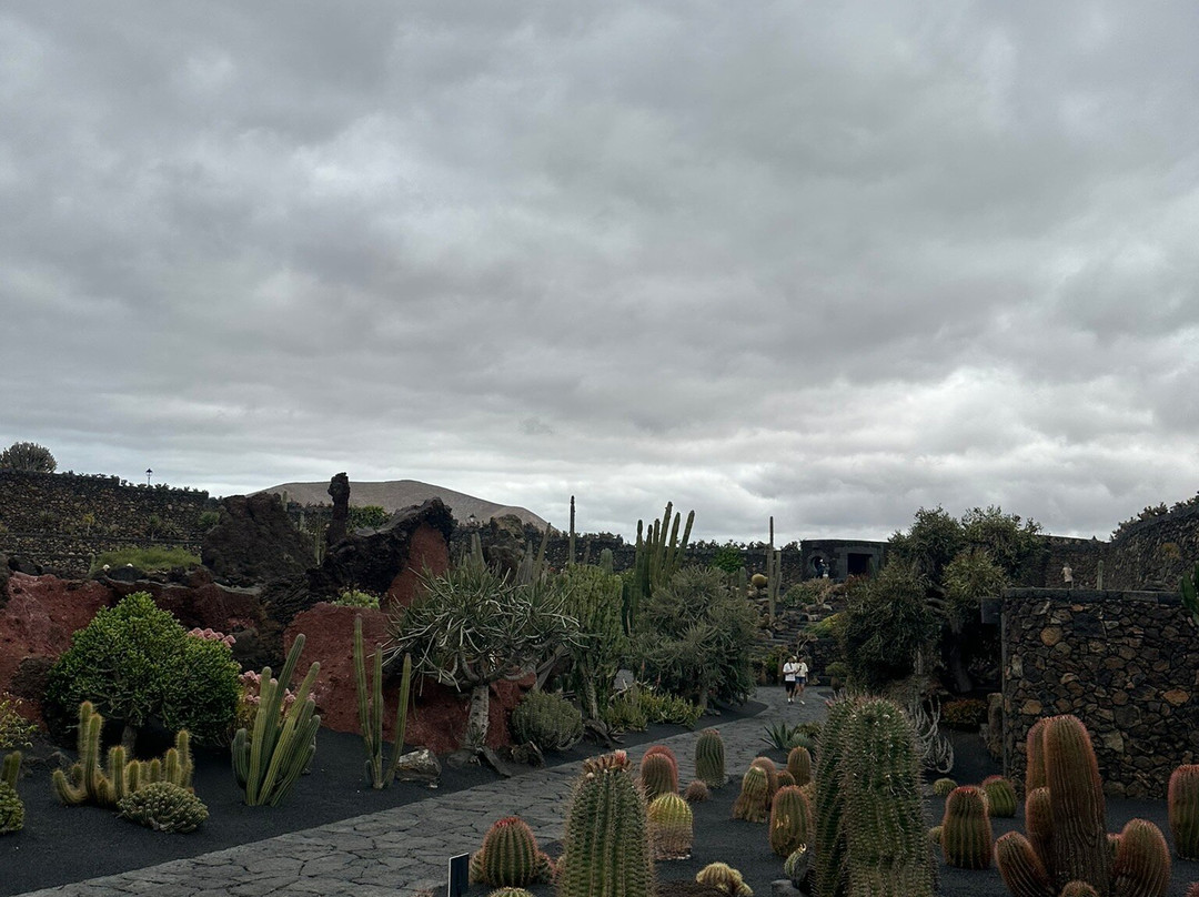 Jardin de Cactus-Guatiza必去景点